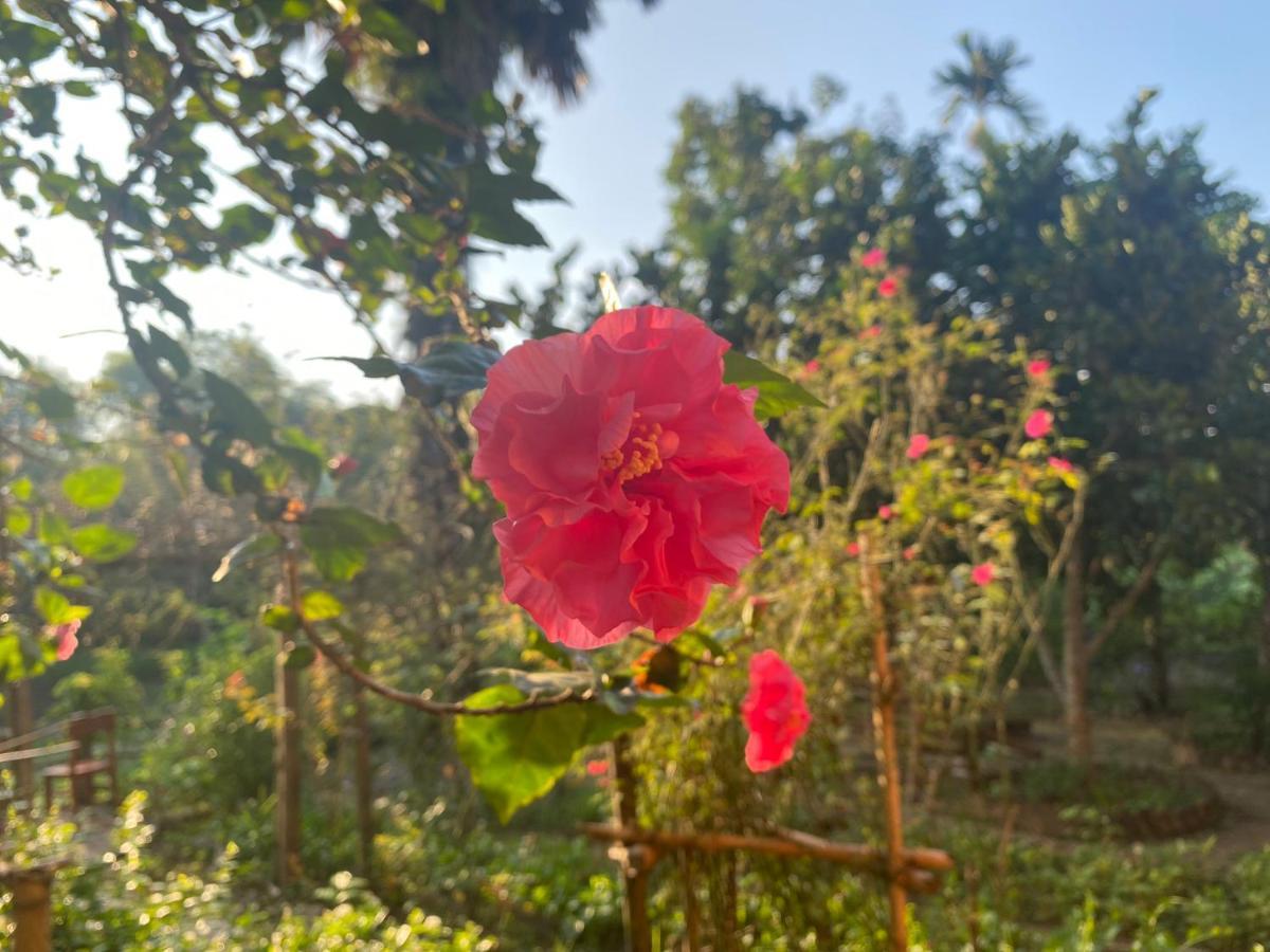 Muong Bi Homestay Hoa Binh Екстер'єр фото