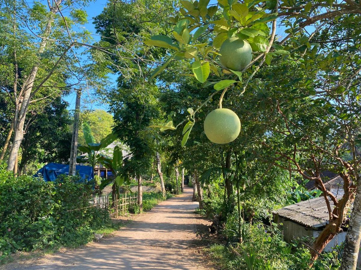 Muong Bi Homestay Hoa Binh Екстер'єр фото