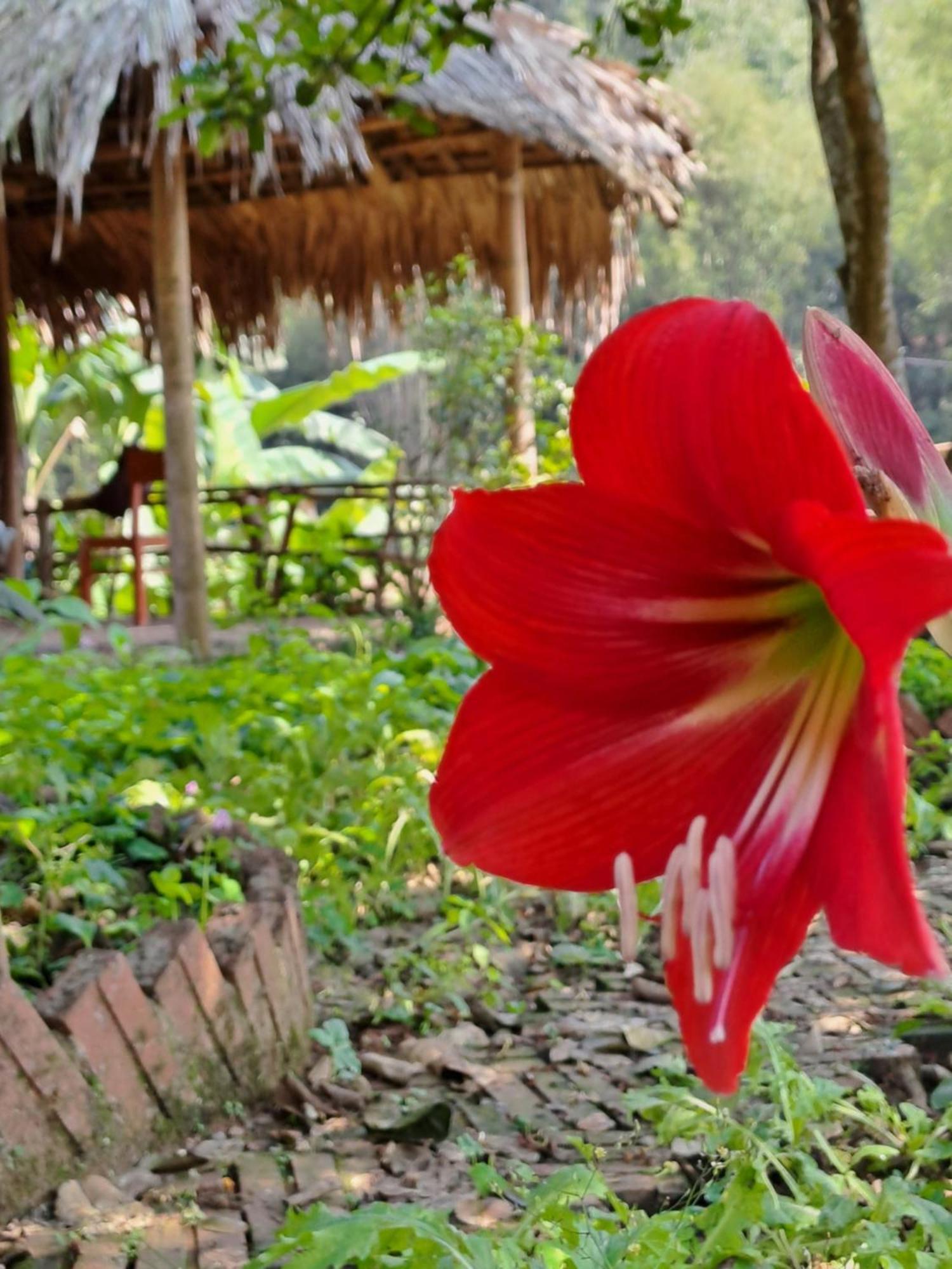 Muong Bi Homestay Hoa Binh Екстер'єр фото