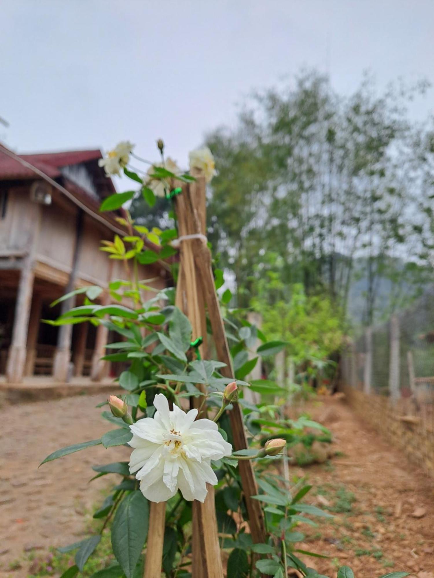 Muong Bi Homestay Hoa Binh Екстер'єр фото