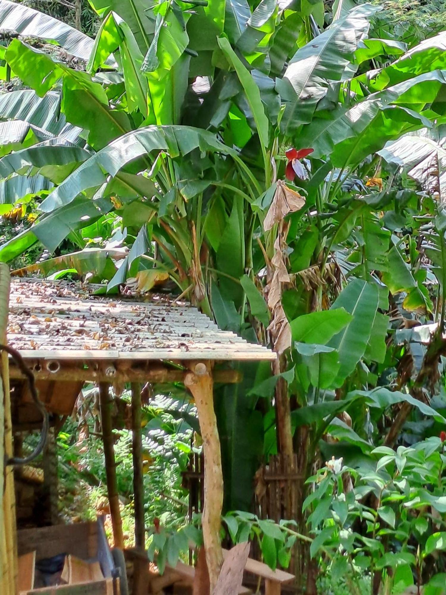 Muong Bi Homestay Hoa Binh Екстер'єр фото