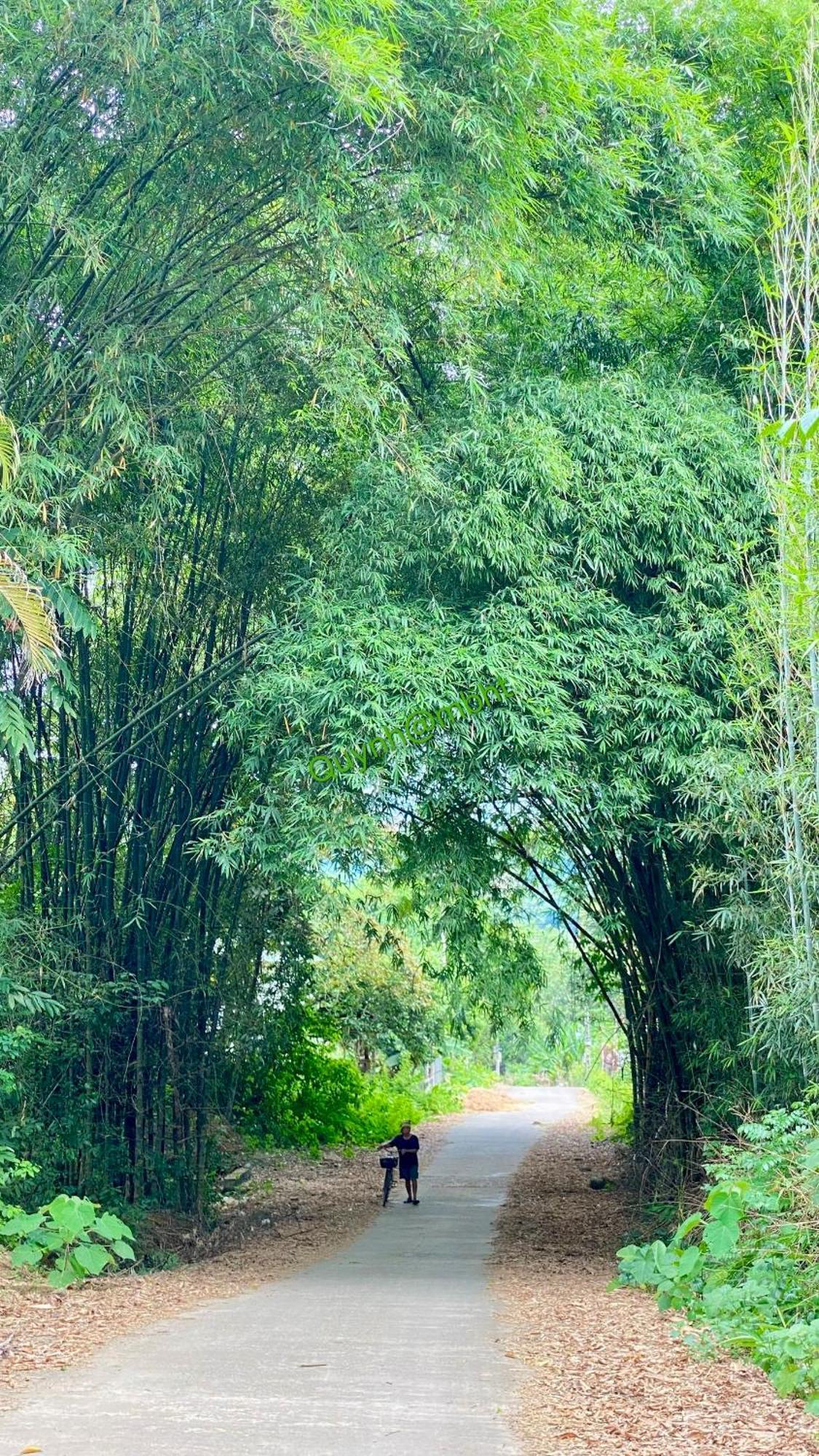 Muong Bi Homestay Hoa Binh Екстер'єр фото