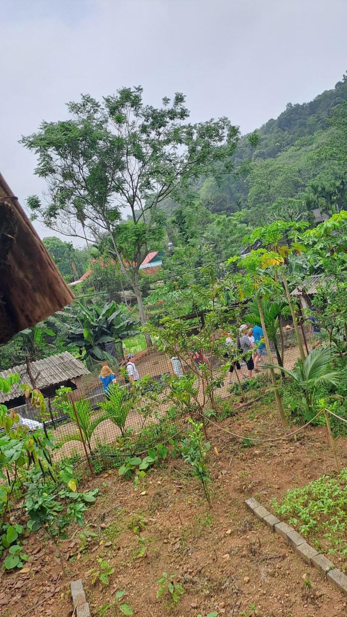 Muong Bi Homestay Hoa Binh Екстер'єр фото