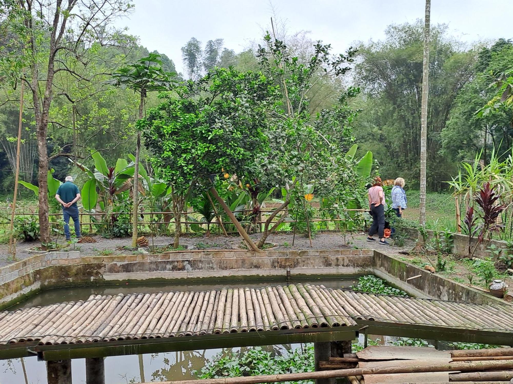 Muong Bi Homestay Hoa Binh Екстер'єр фото